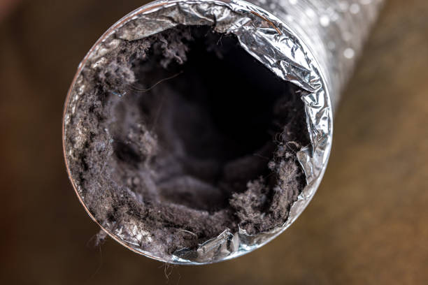 Best HVAC Air Duct Cleaning  in Ozona, TX